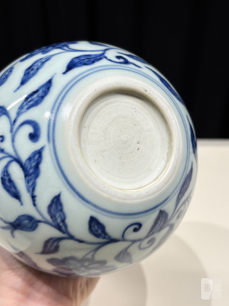 清雍正 青花缠枝花卉纹天球瓶 - 图8